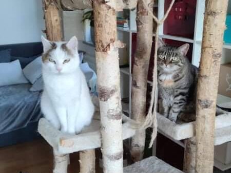 Lina und Tapsi
